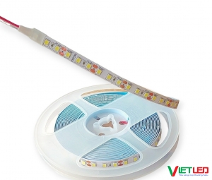 LED DÂY 2835 120 LED/ MÉT MÀU TRẮNG