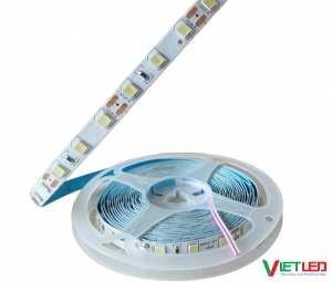 LED DÂY 5054 MÀU TRẮNG KHÔNG KEO 12v
