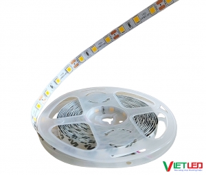 LED DÂY 5054 MÀU VÀNG KHÔNG KEO 12V