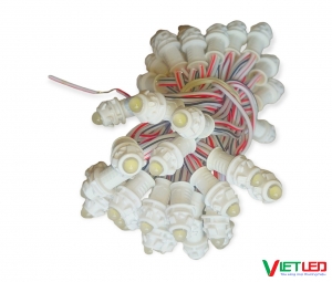 LED ĐÚC F5 - 12V MÀU TRẮNG