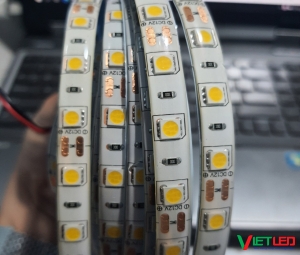 LED DÂY DÁN SMD 5050 MÀU VÀNG ẤM CÓ KEO CUỘN 5M