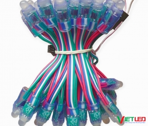 LED F8/12 FULL MÀU IC 8206 TỰ CHẠY HIỆU ỨNG