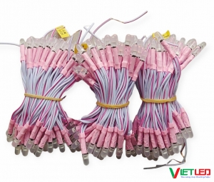 LED RUỒI (LED LIỀN DÂY) MÀU HỒNG 12V IPY