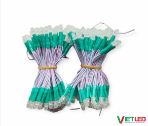 LED RUỒI ( LED 5MM) 12V MÀU XANH LÁ JIJY
