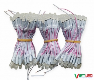 LED RUỒI (LED LIỀN DÂY) MÀU TRẮNG 12V IPY