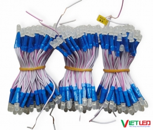 LED RUỒI (LED LIỀN DÂY) MÀU XANH DƯƠNG 12V IPY