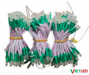 LED RUỒI (LED LIỀN DÂY) MÀU XANH LÁ 12V IPY