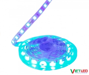 LED DÂY 5054 MÀU XANH DƯƠNG KHÔNG KEO 12V