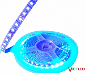 LED DÂY 2835 120 LED/ MÉT MÀU XANH DƯƠNG 12V