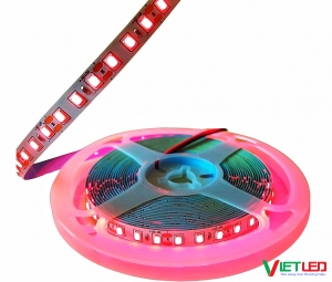LED DÂY 2835 120 LED/ MÉT MÀU ĐỎ 12V