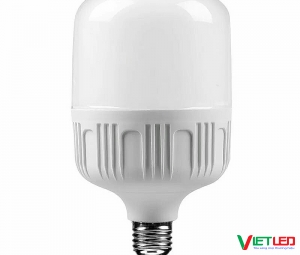 BÚP TRỤ DSY 30W ÁNH SÁNG TRẮNG