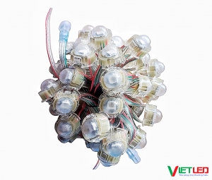 DÂY LED F20 FULL MÀU IC 8208 TỰ CHẠY HIỆU ỨNG KHÔNG CẦN MẠCH ĐIỀU KHIỂN.
