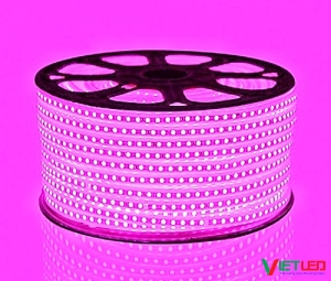 LED 2835 2 HÀNG BÓNG MÀU HỒNG 220V