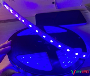 LED DÂY 5050 TRONG ỐNG MÀU XANH DƯƠNG