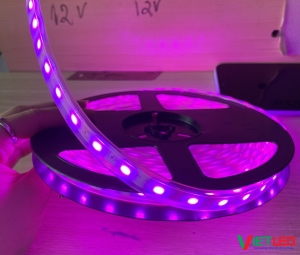 LED DÂY 5050 TRONG ỐNG MÀU HỒNG