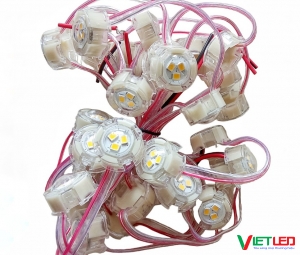 DÂY LED F20 VÀNG ÁNH SÁNG ĐƠN MÀU 