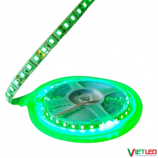 LED DÂY 2835 120 LED MÀU XANH LÁ 12V
