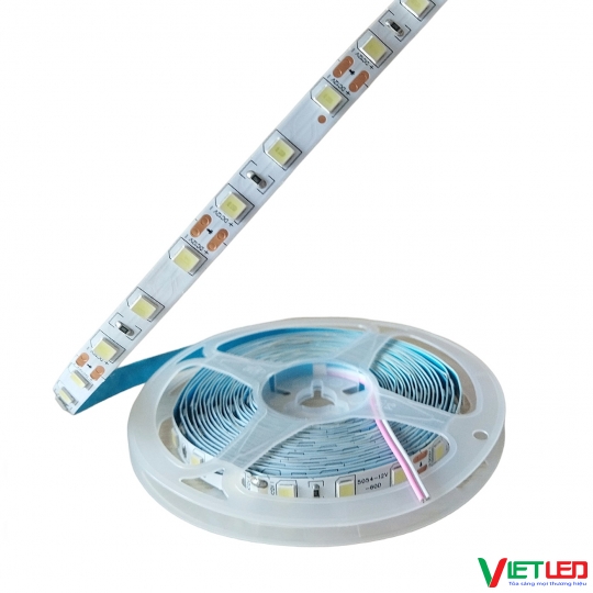 LED DÂY 5054 MÀU TRẮNG KHÔNG KEO 12v