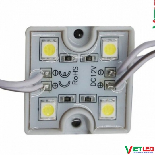 MODULE 4 BÓNG ĐẾ NHỰA MÀU TRẮNG