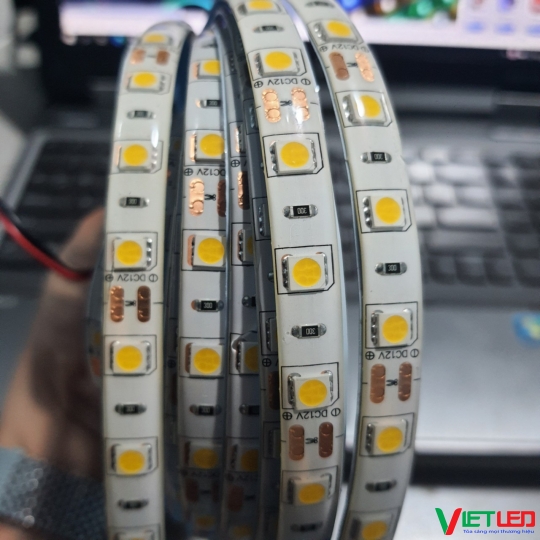 LED DÂY DÁN SMD 5050 MÀU VÀNG ẤM CÓ KEO CUỘN 5M