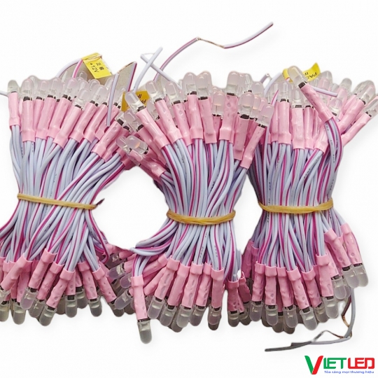 LED RUỒI (LED LIỀN DÂY) MÀU HỒNG 12V IPY