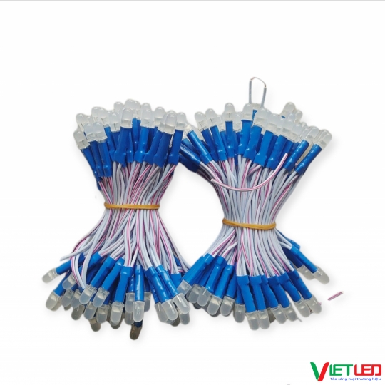LED RUỒI ( LED 5MM) 12V MÀU XANH DƯƠNG JIJY