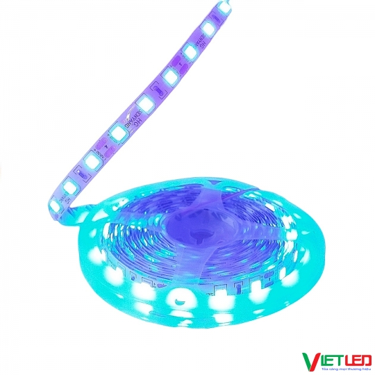 LED DÂY 5054 MÀU XANH DƯƠNG KHÔNG KEO 12V