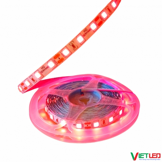 LED DÂY 5054 MÀU ĐỎ KHÔNG KEO 12V