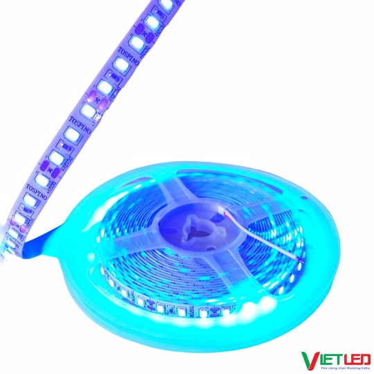 LED DÂY 2835 120 LED/ MÉT MÀU XANH DƯƠNG 12V