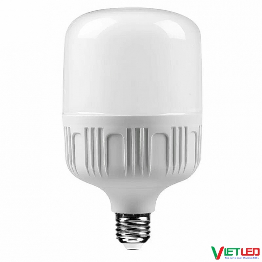 BÚP TRỤ DSY 30W ÁNH SÁNG TRẮNG
