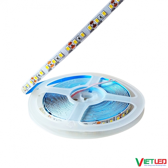 LED DÂY 2835 120 LED/ MÉT MÀU TRUNG TÍNH