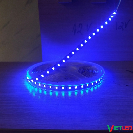 LED DÂY ZICZAC 20M - 12V ÁNH SÁNG XANH DƯƠNG