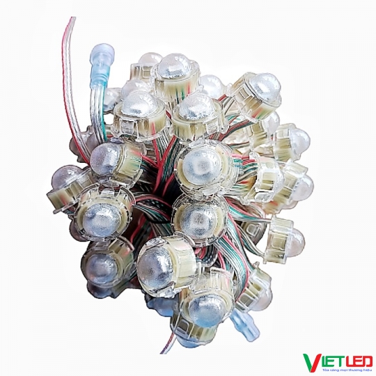 DÂY LED F20 FULL MÀU IC 8208 TỰ CHẠY HIỆU ỨNG KHÔNG CẦN MẠCH ĐIỀU KHIỂN.