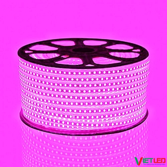 LED 2835 2 HÀNG BÓNG MÀU HỒNG 220V