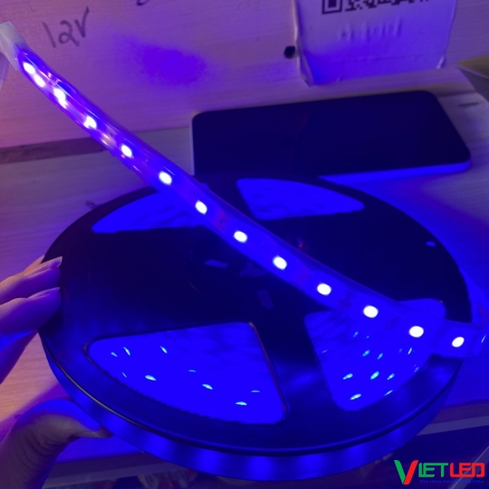 LED DÂY 5050 TRONG ỐNG MÀU XANH DƯƠNG