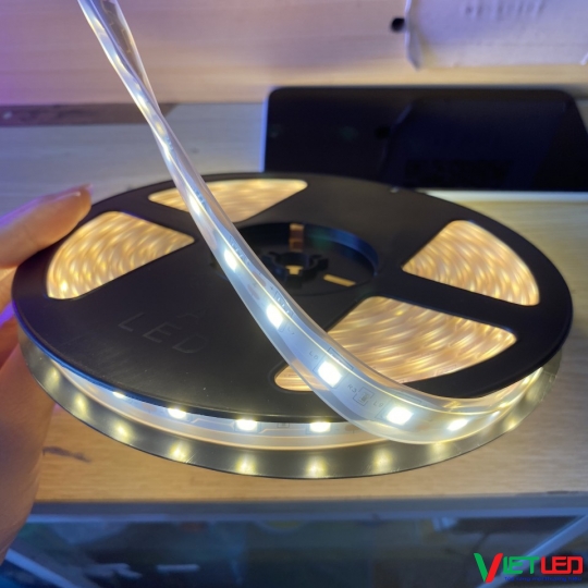 LED DÂY 5050 TRONG ỐNG MÀU VÀNG NẮNG