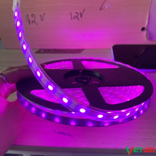 LED DÂY 5050 TRONG ỐNG MÀU HỒNG