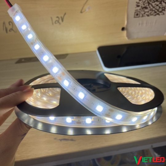 LED DÂY 5050 TRONG ỐNG MÀU TRẮNG