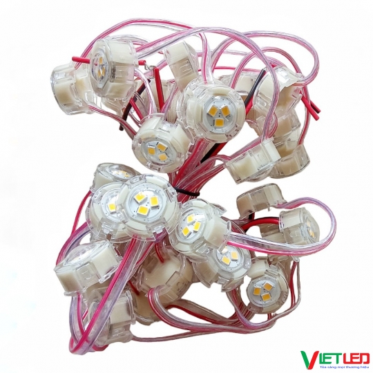 DÂY LED F20 VÀNG ÁNH SÁNG ĐƠN MÀU 