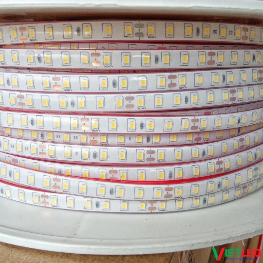 LED DÂY 220V 1 HÀNG - 120 LED/ MÉT ÁNH SÁNG VÀNG